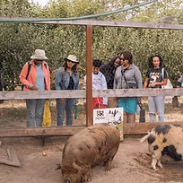 farmvisit.jpeg